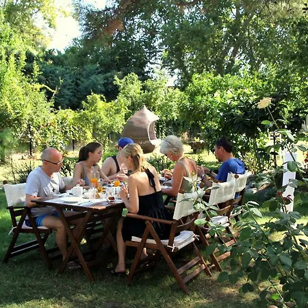 Bed and breakfast Defne *